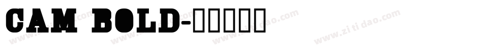 Cam Bold字体转换